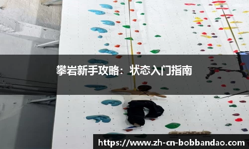 BOB半岛体育平台